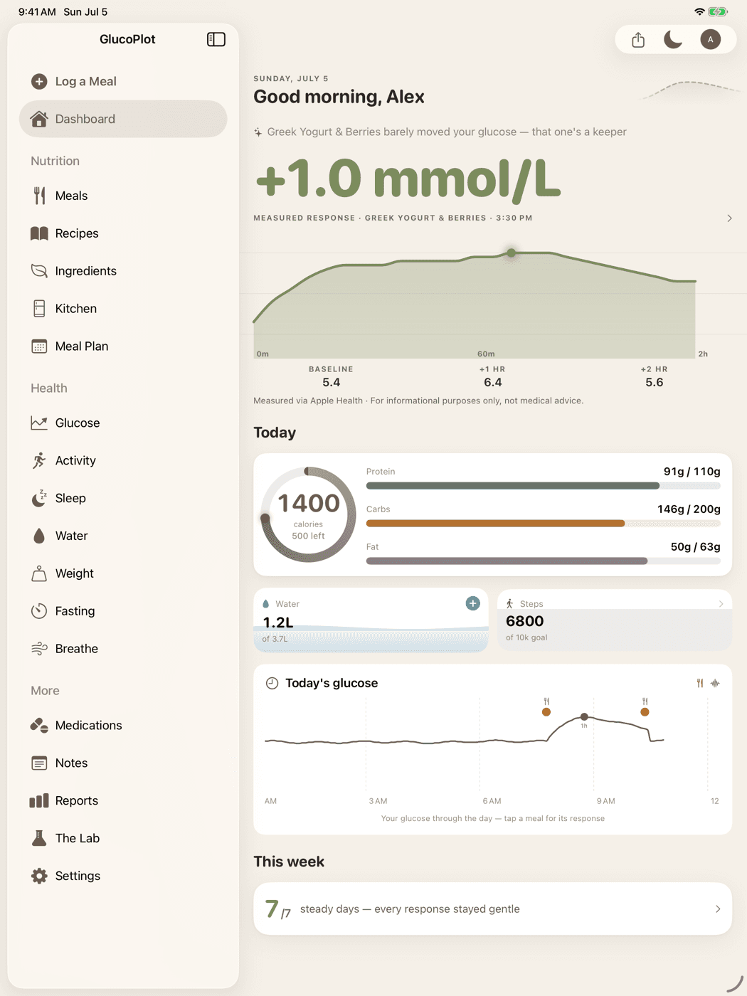 GlucoPlot on iPad: the sidebar of sections beside today's measured response, macros, water, steps and the day's glucose